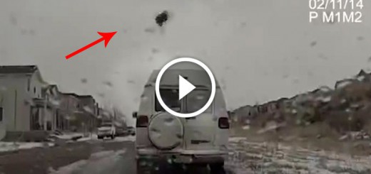 Poliţia opreşte o dubă, iar înainte de control, şoferul face asta (VIDEO)